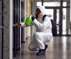 Best Black Mold Removal  in Alum Rock, CA